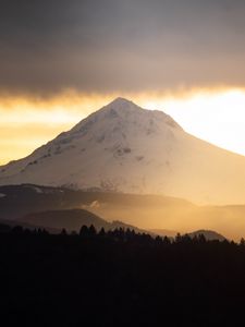 Preview wallpaper mountain, peak, forest, trees, snow, landscape