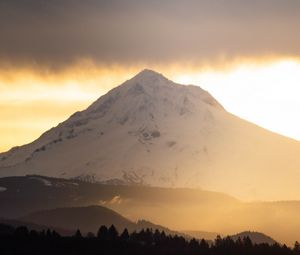 Preview wallpaper mountain, peak, forest, trees, snow, landscape