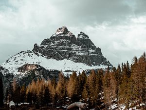 Preview wallpaper mountain, peak, forest, lake, snow, winter
