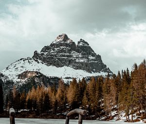 Preview wallpaper mountain, peak, forest, lake, snow, winter