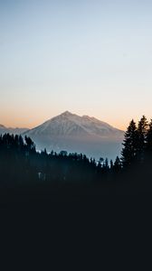 Preview wallpaper mountain, peak, forest, trees, snow, landscape, nature