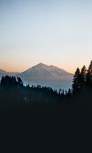 Preview wallpaper mountain, peak, forest, trees, snow, landscape, nature
