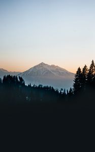 Preview wallpaper mountain, peak, forest, trees, snow, landscape, nature