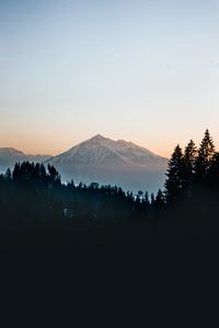 Preview wallpaper mountain, peak, forest, trees, snow, landscape, nature