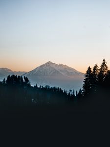 Preview wallpaper mountain, peak, forest, trees, snow, landscape, nature