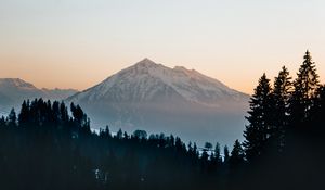 Preview wallpaper mountain, peak, forest, trees, snow, landscape, nature