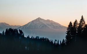 Preview wallpaper mountain, peak, forest, trees, snow, landscape, nature