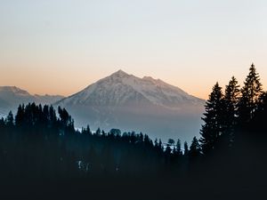 Preview wallpaper mountain, peak, forest, trees, snow, landscape, nature