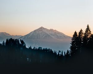 Preview wallpaper mountain, peak, forest, trees, snow, landscape, nature