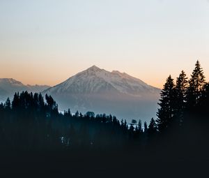 Preview wallpaper mountain, peak, forest, trees, snow, landscape, nature