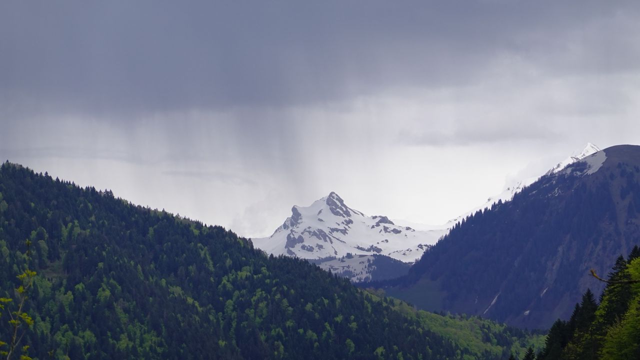 Wallpaper mountain, peak, forest, rain, landscape