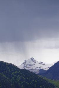 Preview wallpaper mountain, peak, forest, rain, landscape