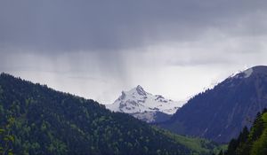 Preview wallpaper mountain, peak, forest, rain, landscape