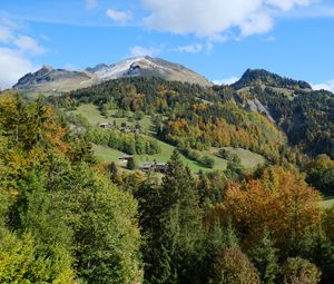 Preview wallpaper mountain, peak, hills, trees, landscape