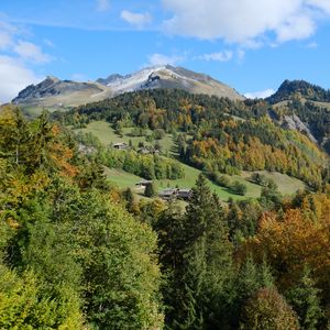 Preview wallpaper mountain, peak, hills, trees, landscape