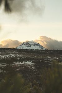 Preview wallpaper mountain, peak, landscape, foothills, forest