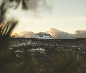 Preview wallpaper mountain, peak, landscape, foothills, forest