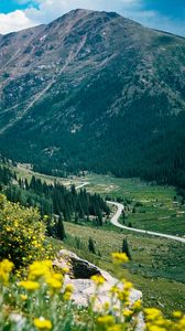 Preview wallpaper mountain, peak, road, trees, flowers