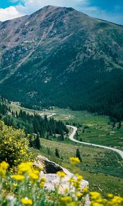 Preview wallpaper mountain, peak, road, trees, flowers