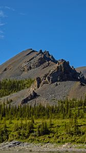 Preview wallpaper mountain, peak, rocks, spruce, trees