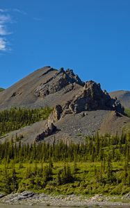 Preview wallpaper mountain, peak, rocks, spruce, trees