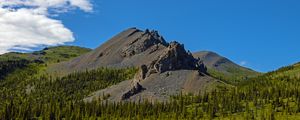 Preview wallpaper mountain, peak, rocks, spruce, trees