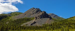 Preview wallpaper mountain, peak, rocks, spruce, trees