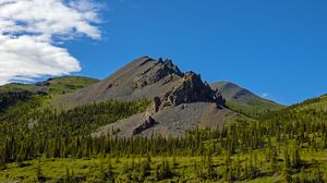 Preview wallpaper mountain, peak, rocks, spruce, trees