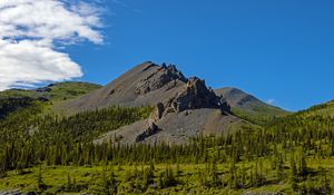 Preview wallpaper mountain, peak, rocks, spruce, trees