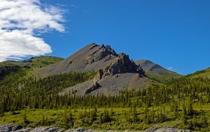 Preview wallpaper mountain, peak, rocks, spruce, trees