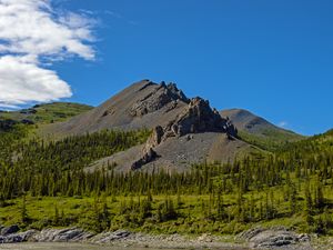 Preview wallpaper mountain, peak, rocks, spruce, trees