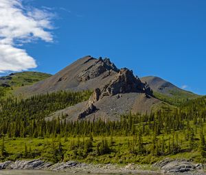 Preview wallpaper mountain, peak, rocks, spruce, trees