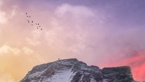 Preview wallpaper mountain, peak, silhouette, birds, sky, stars