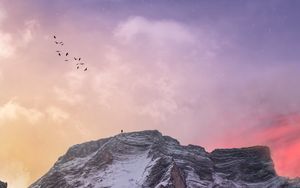 Preview wallpaper mountain, peak, silhouette, birds, sky, stars