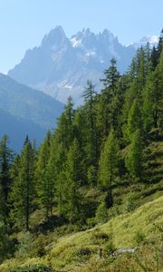 Preview wallpaper mountain, peak, slope, trees, landscape
