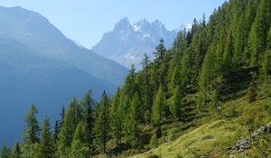 Preview wallpaper mountain, peak, slope, trees, landscape