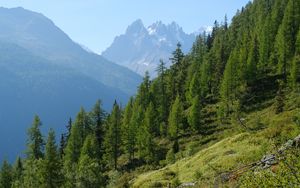 Preview wallpaper mountain, peak, slope, trees, landscape