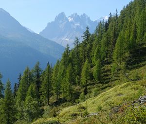 Preview wallpaper mountain, peak, slope, trees, landscape
