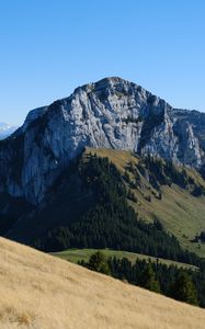 Preview wallpaper mountain, peak, slopes, trees, nature, alps