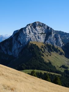 Preview wallpaper mountain, peak, slopes, trees, nature, alps