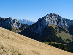 Preview wallpaper mountain, peak, slopes, trees, nature, alps