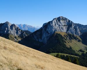 Preview wallpaper mountain, peak, slopes, trees, nature, alps