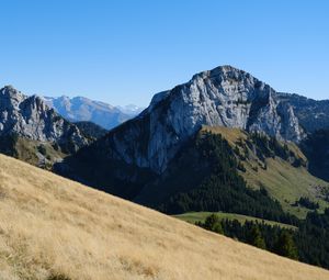 Preview wallpaper mountain, peak, slopes, trees, nature, alps