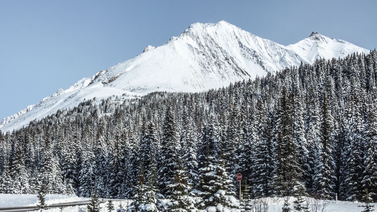 Wallpaper mountain, peak, snow, trees, winter