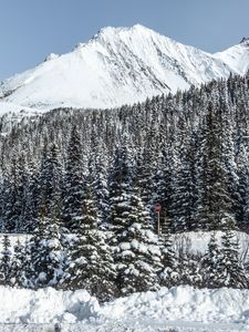 Preview wallpaper mountain, peak, snow, trees, winter