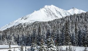 Preview wallpaper mountain, peak, snow, trees, winter
