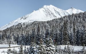 Preview wallpaper mountain, peak, snow, trees, winter