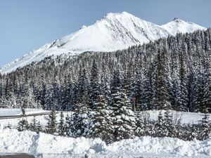 Preview wallpaper mountain, peak, snow, trees, winter