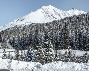 Preview wallpaper mountain, peak, snow, trees, winter
