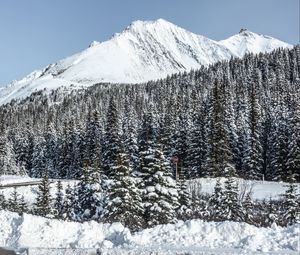 Preview wallpaper mountain, peak, snow, trees, winter